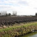IMG_373214