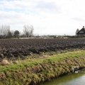 IMG_373215