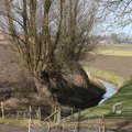 IMG_373217