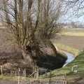 IMG_373218