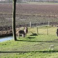 IMG_373240