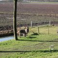 IMG_373241