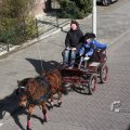 IMG_373261