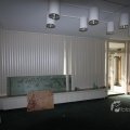 IMG_373335