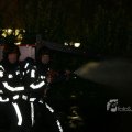 IMG_373946