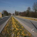IMG_375435