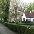 IMG_385247