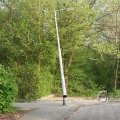 IMG_385254