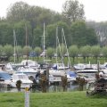 IMG_386596