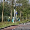 IMG_386660