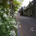 IMG_389071