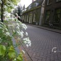 IMG_389077
