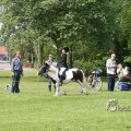 IMG_391411