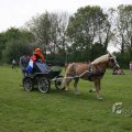 IMG_391428
