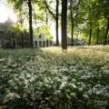 IMG_392731