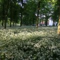 IMG_392736