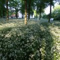IMG_392737