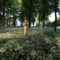 IMG_392738