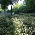 IMG_392739