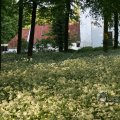 IMG_392743