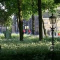IMG_392749