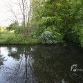 IMG_392751