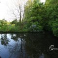 IMG_392753