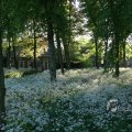 IMG_392769