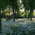 IMG_392771