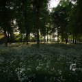IMG_392776