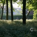 IMG_392783