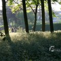 IMG_392784