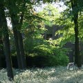 IMG_392786