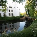 IMG_392821
