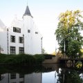 IMG_392841