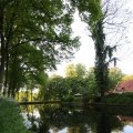 IMG_392846
