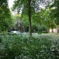 IMG_392901