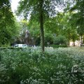 IMG_392902