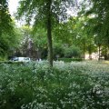 IMG_392903