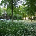 IMG_392905