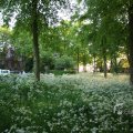 IMG_392906