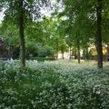 IMG_392907