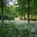 IMG_392909