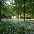 IMG_392910