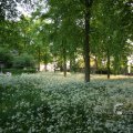 IMG_392911