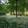IMG_392912