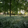 IMG_392916