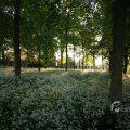 IMG_392920