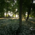 IMG_392925