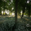 IMG_392926